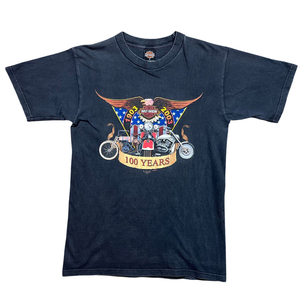 Vintage 2002 Harley Davidson Germany T-shirt (M)