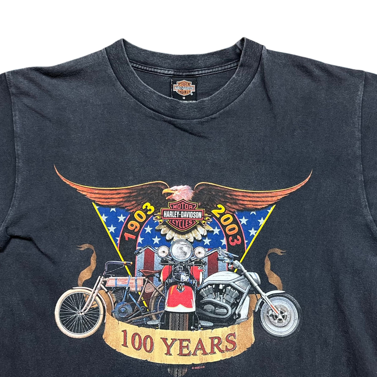 Vintage 2002 Harley Davidson Germany T-shirt (M)