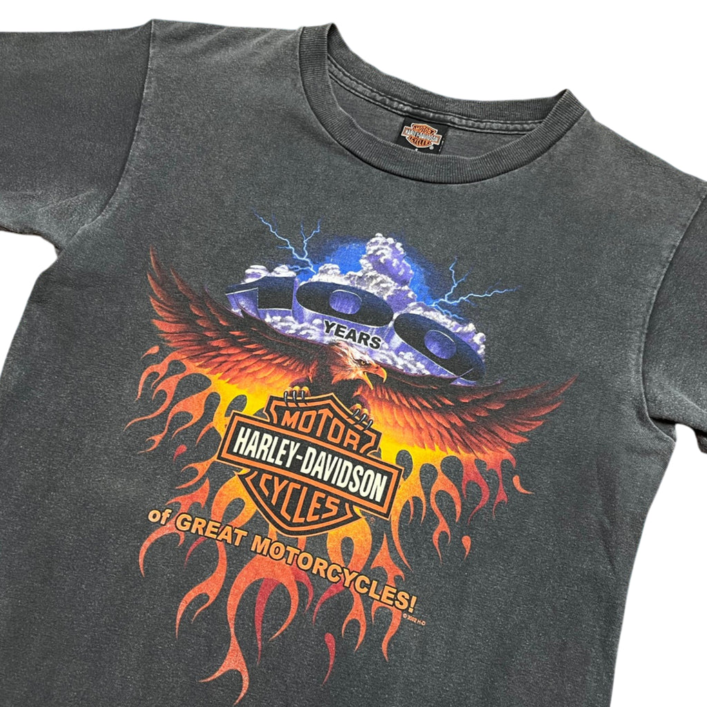 Vintage 2002 Harley Davidson Graphic T-shirt (S)